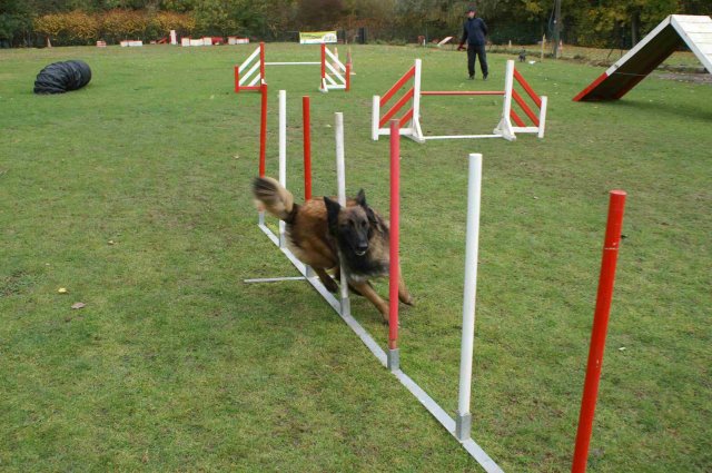 agility 2011-10-30